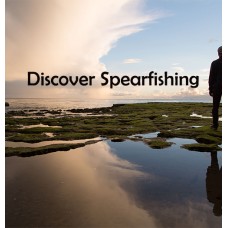 Discover Spearfishing & Freediving ( Half Day Experience)